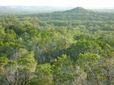 40 - View From Hilltop