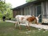 44 - Nowhere But Wimberley by Alan Bryant
