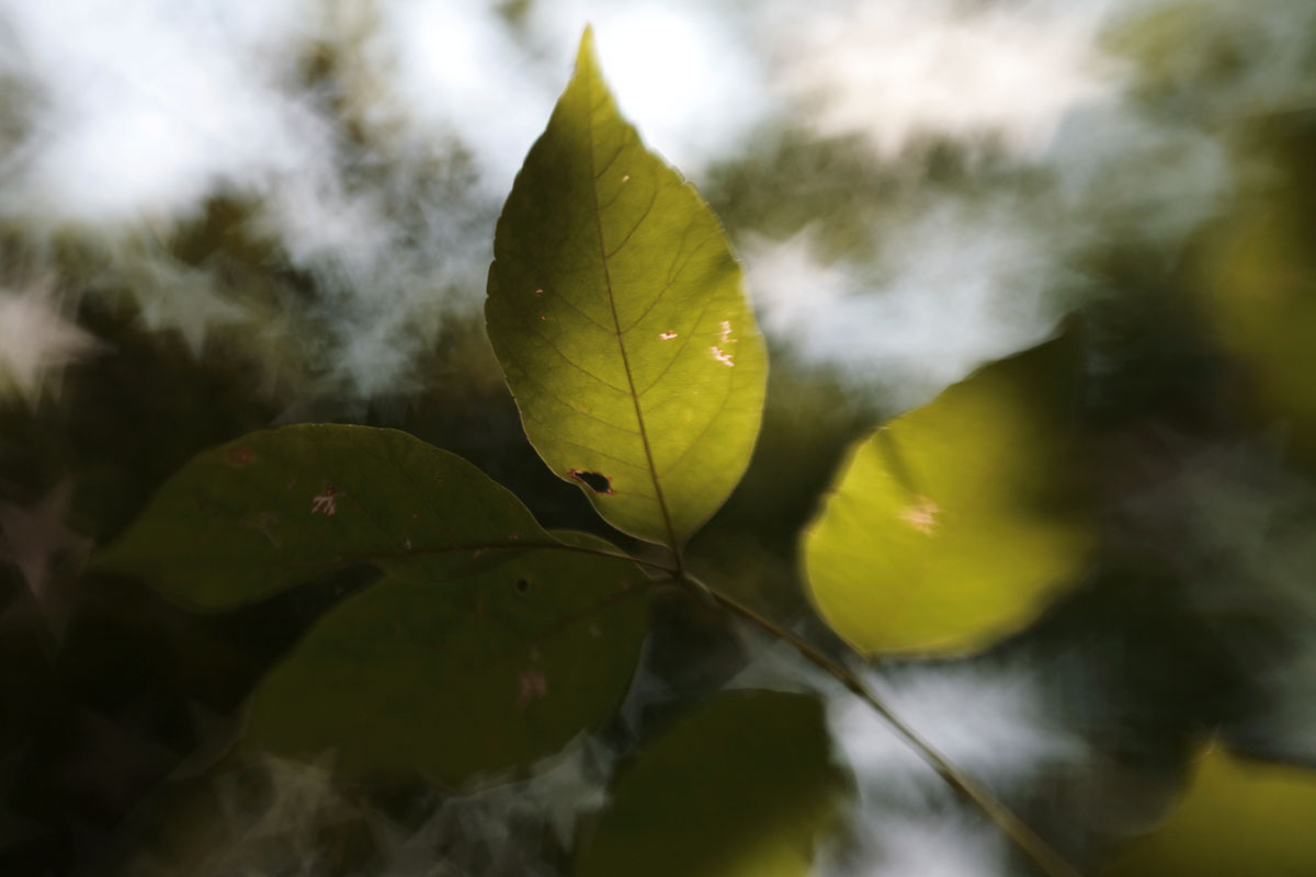 030 - LensBaby Stars