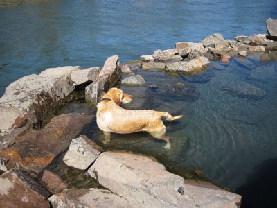180 - Cheyenne in Hot Spring