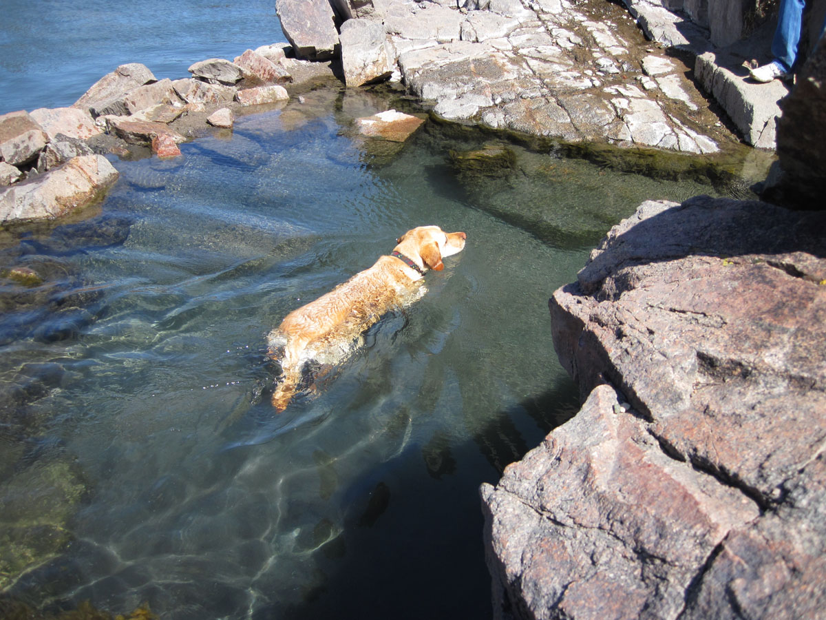 182 - Cheyenne in Hot Spring