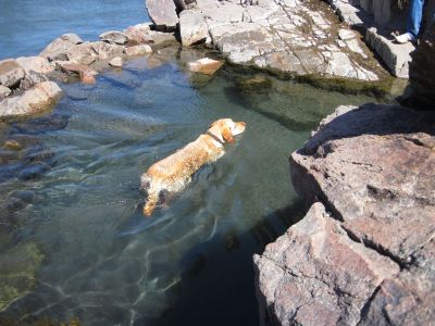 182 - Cheyenne in Hot Spring