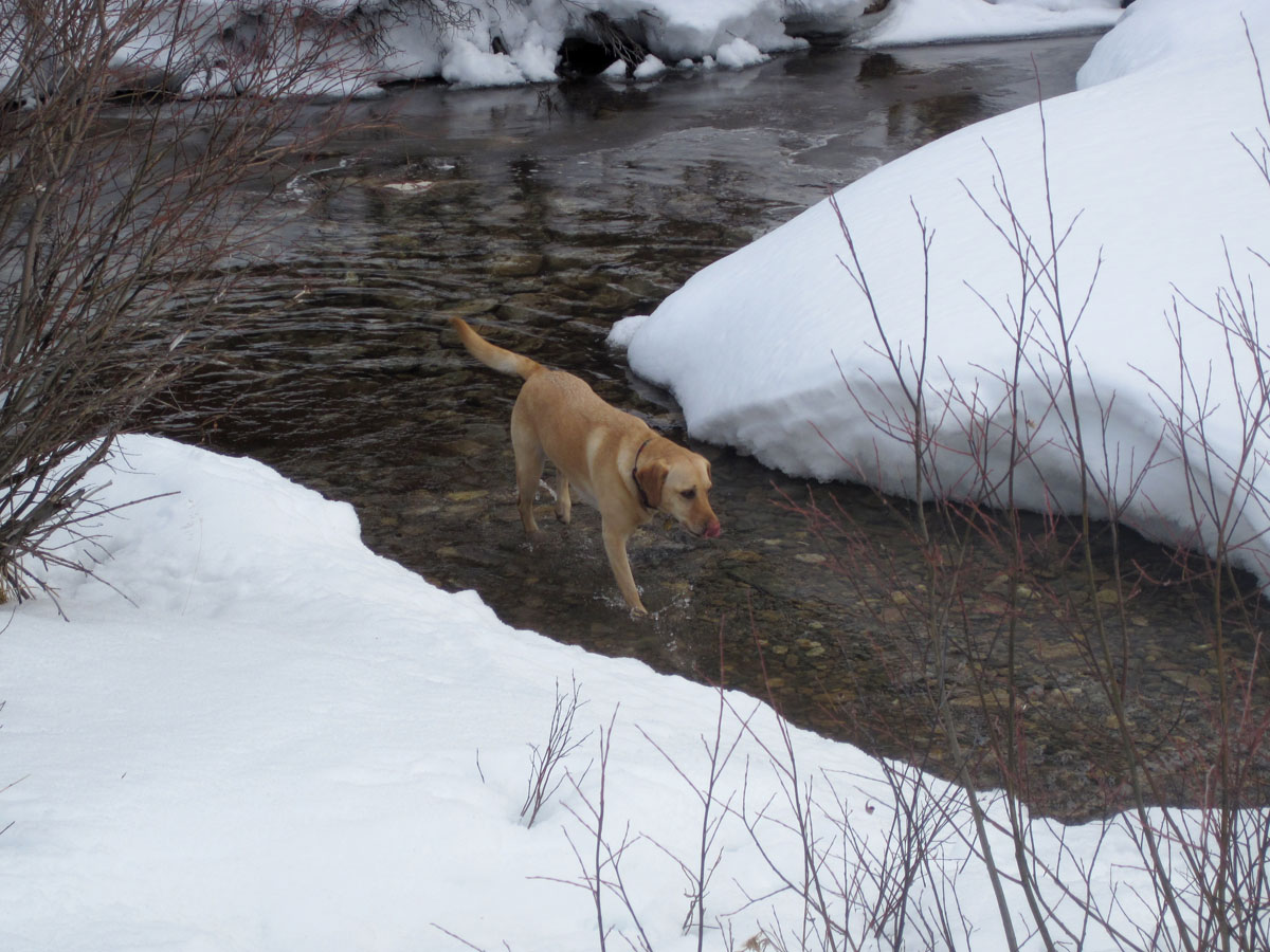 257 - Cheyenne Found Water Agian