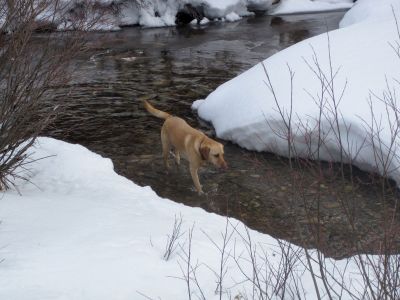 257 - Cheyenne Found Water Agian