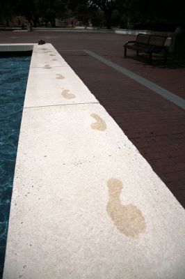 060 - Footprints