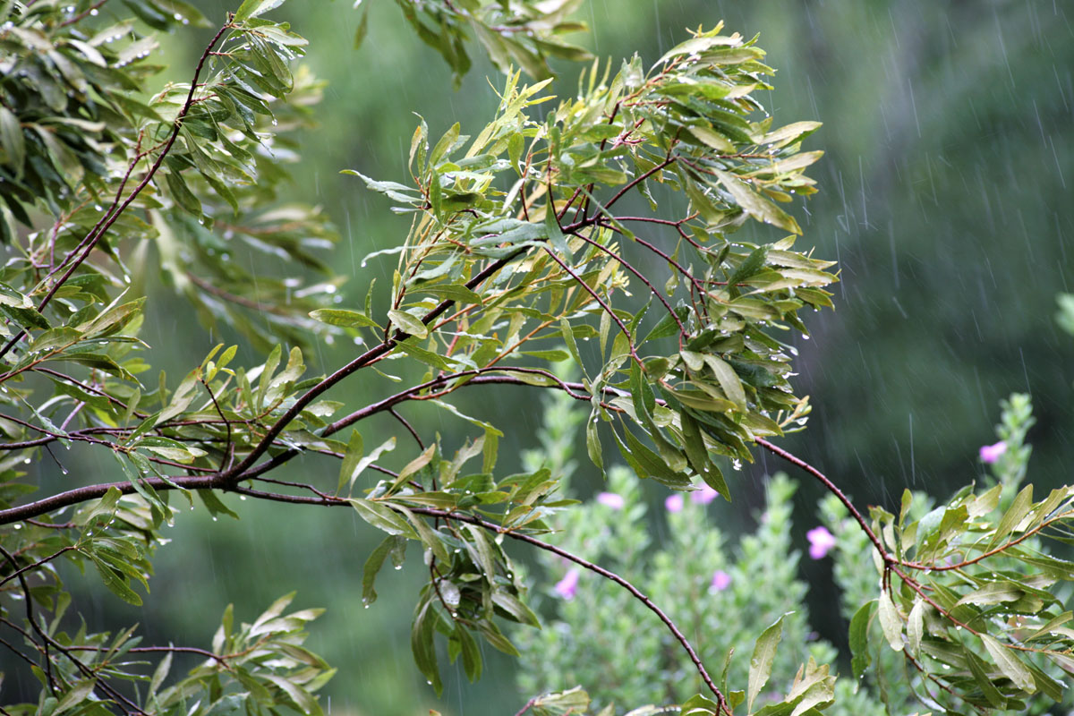 067 - Tamron Rain Test