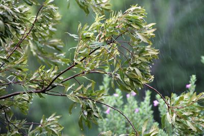 067 - Tamron Rain Test