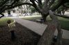 11 - Century Oak by Alan Bryant