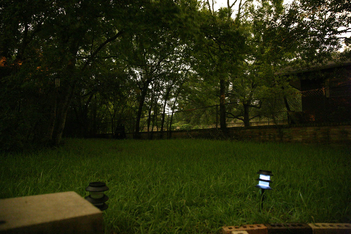 076 - Low Light Test