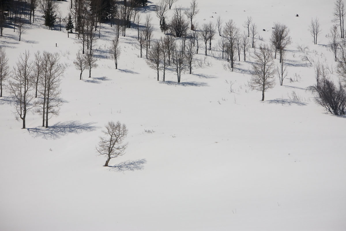 115 - Drive to Radium