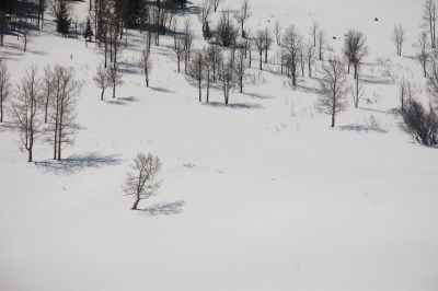 115 - Drive to Radium