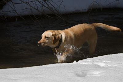 125 - Cheyenne Found Water