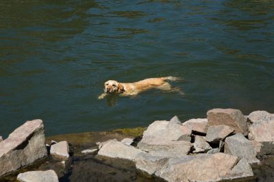 156 - Cheyenne Swimming