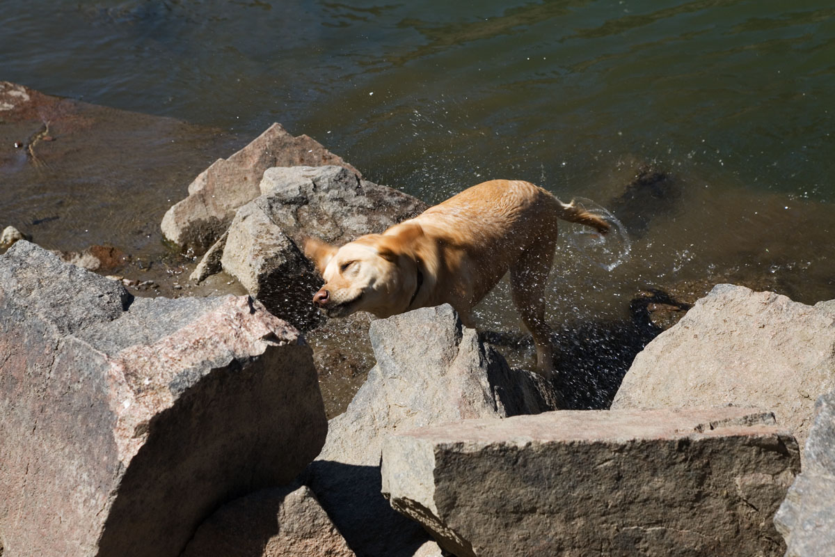 157 - Cheyenne Shaking