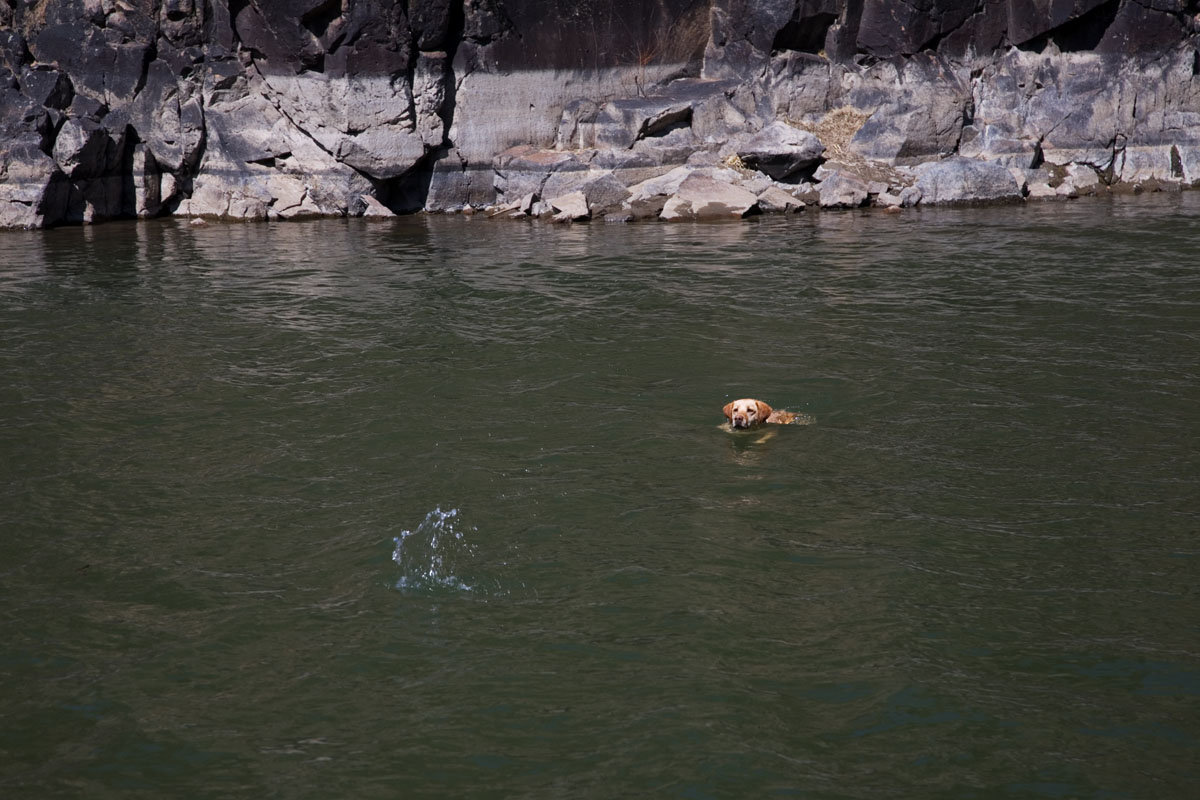 177 - Cheyenne Chasing Stones