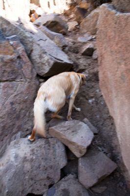 185 - Climbing Back Up