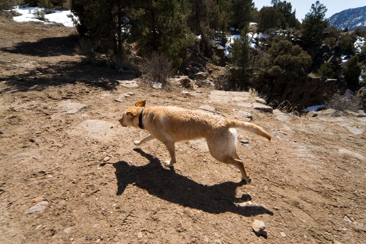 189 - Cheyenne Running