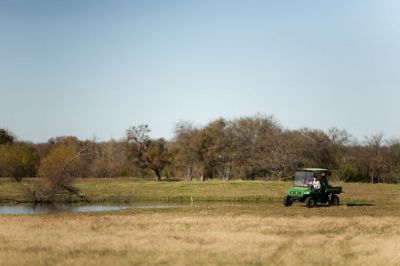 037 - Tank and Gator