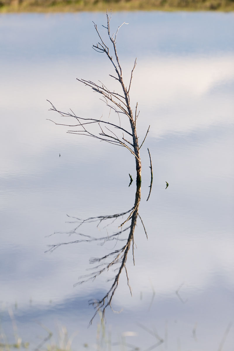 068 - Reflection
