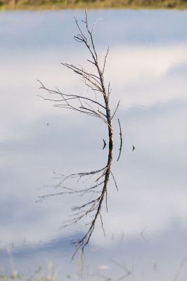 068 - Reflection