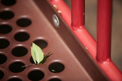 135 - Leaf From Above