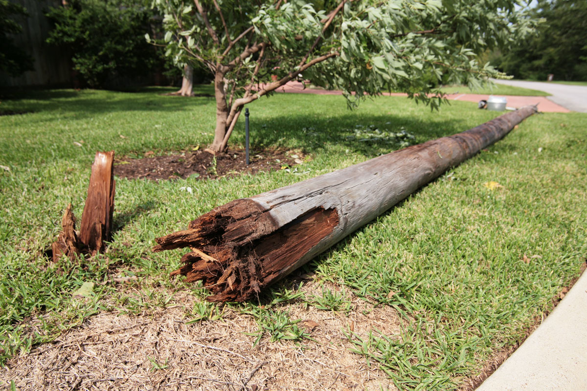 161 - Down Light Post