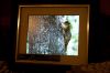13 - Frame by Alan Bryant