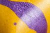 43 - Yellow and Purple Crop by Alan Bryant