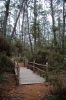 01 - Bridge by Alan Bryant