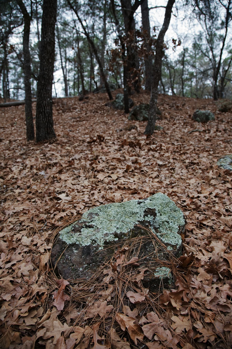 06 - Lichen Rock