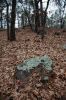 06 - Lichen Rock by Alan Bryant