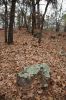07 - Lichen Rock by Alan Bryant