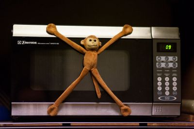 23 - Monkey Magnet