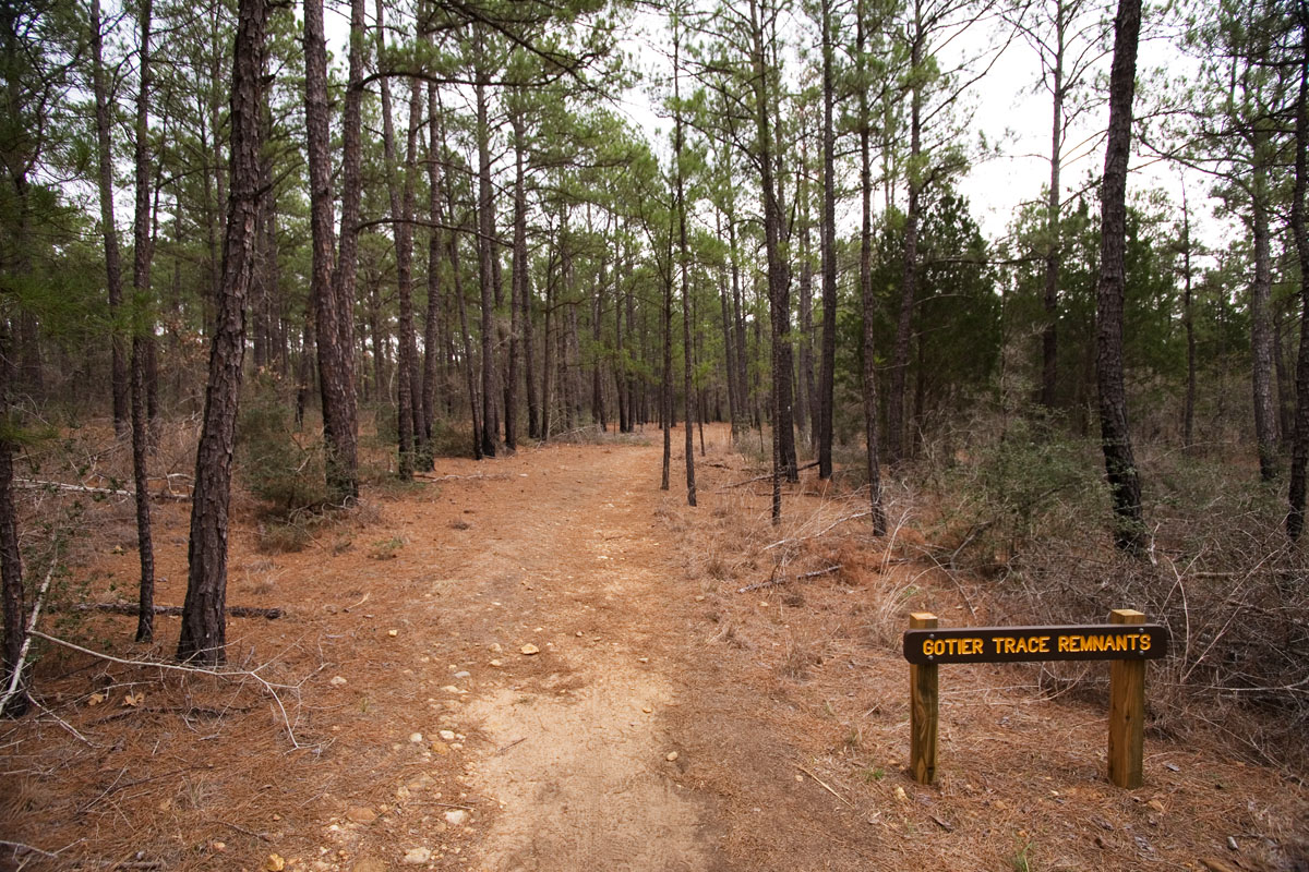 41 - Gotier Trace