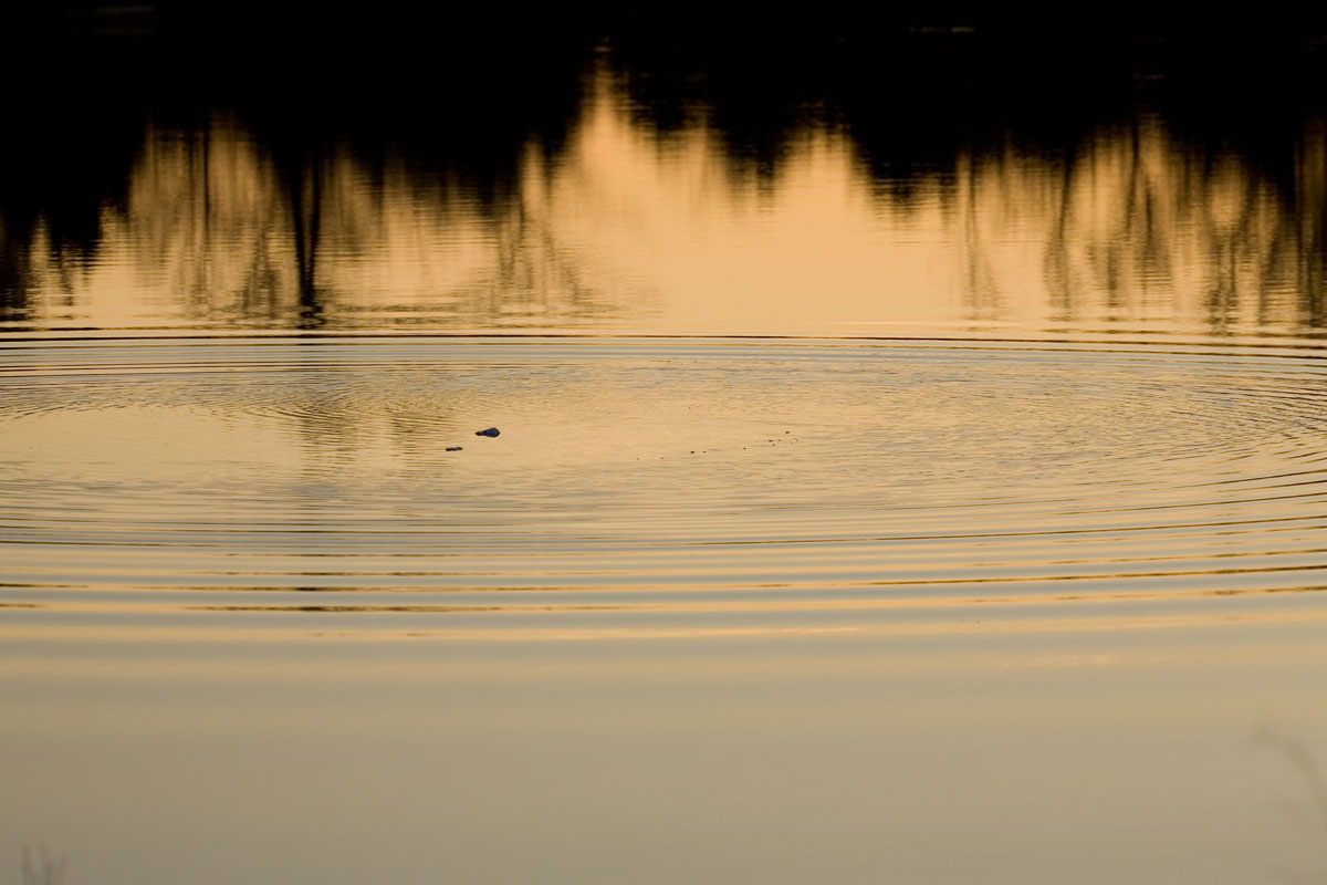 72 - Ripples