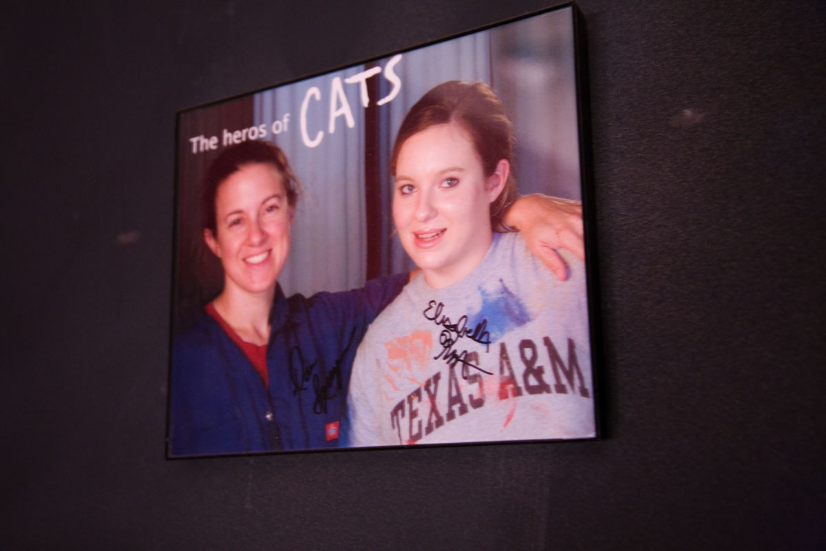 137 - The Heros of Cats