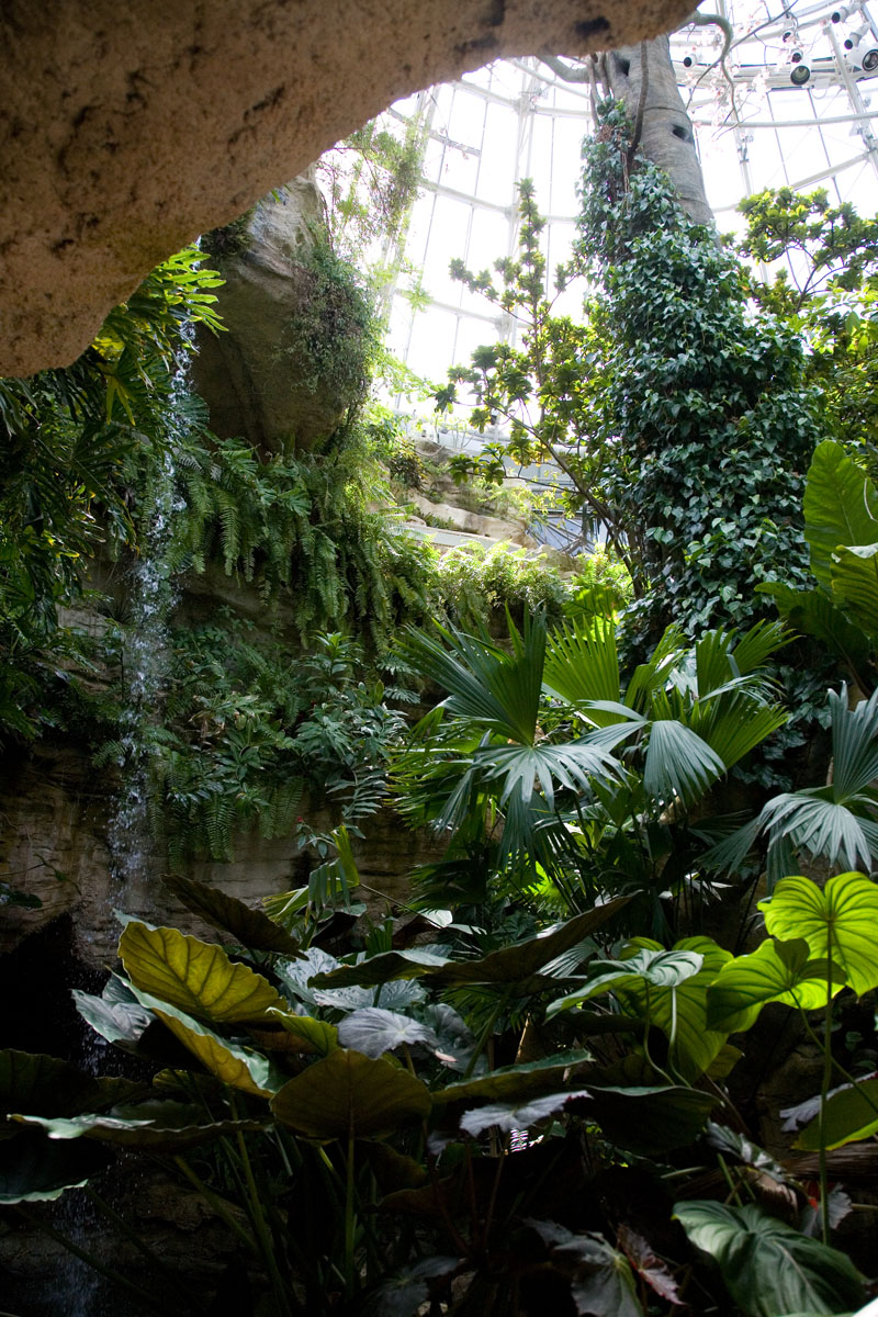 014 - Butterfly Center