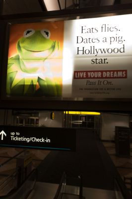 016 - And Frogs Lurk on the Walls