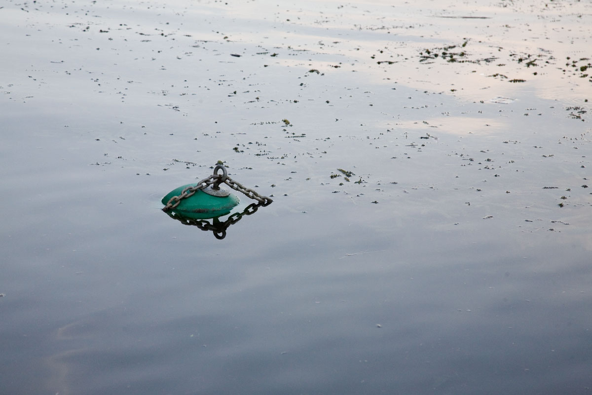 116 - Not Sure What The Story Is Here