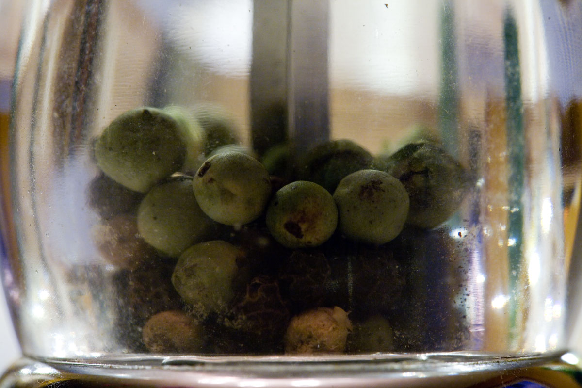 087 - Peppercorns