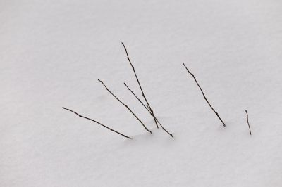 103 - Branches In Snow