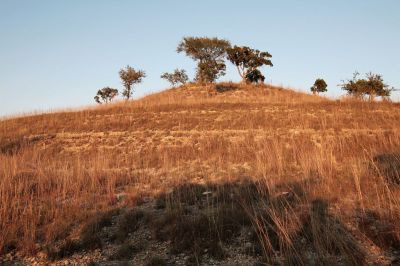 009 - Hilltop