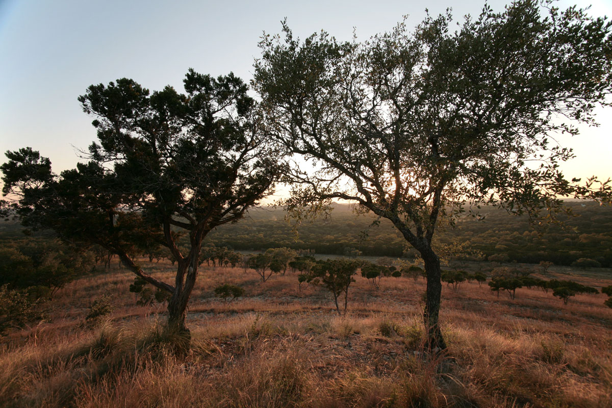 010 - Hilltop