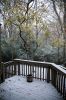 13 - Back Porch by Alan Bryant