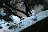 15 - Snowman by Alan Bryant