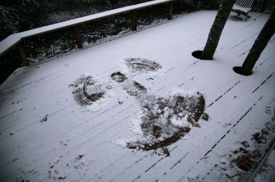 19 - Snow Angel