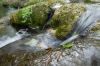 06 - Leaf and Waterfall by Alan Bryant
