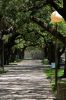 25 - Sidewalk by Alan Bryant