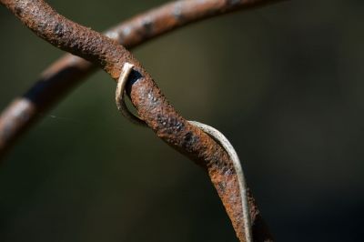 044 - Rusted Fence