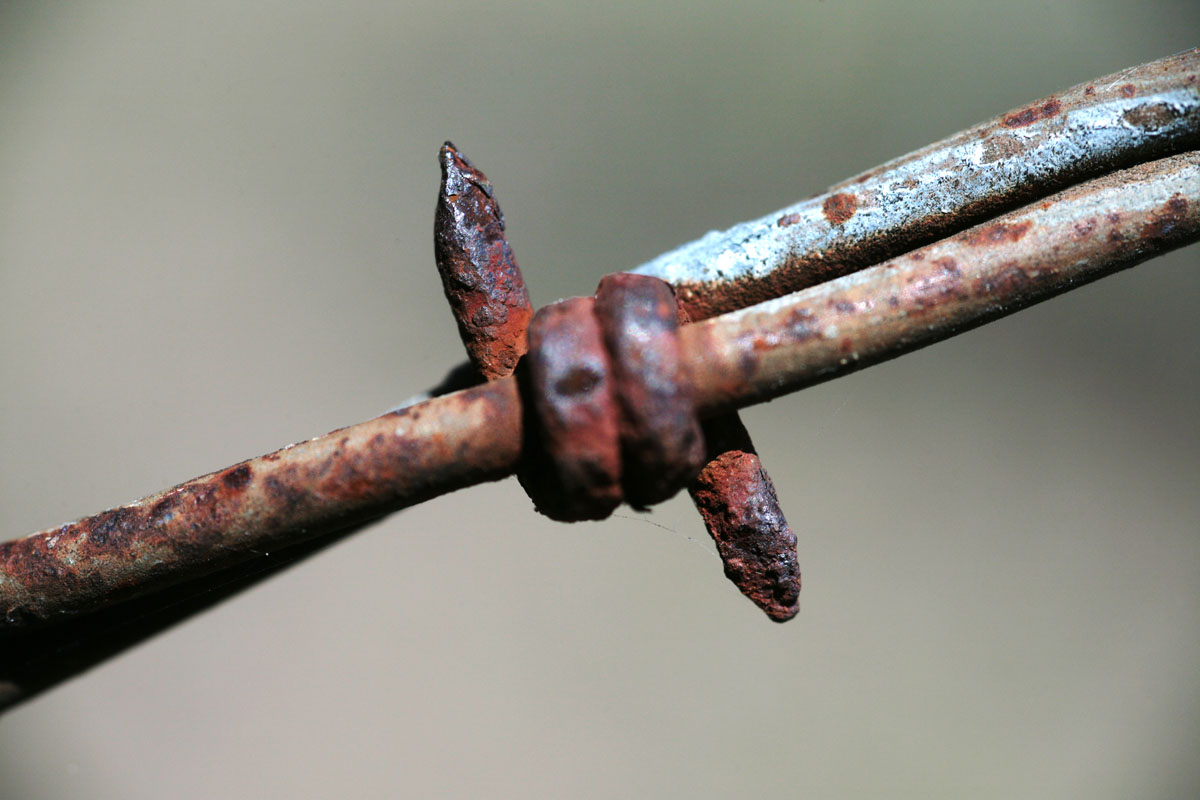 045 - Barbed Wire